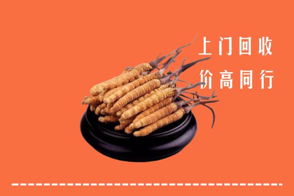 高价求购：贵阳回收散虫草