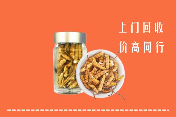 贵阳回收冬虫夏草